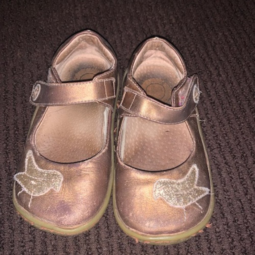 Livie and Luca Brozen Bird Shoes- size 9 *Play Condition*